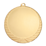 Medaille Leiden scheffer
