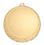 Medaille Leiden scheffer