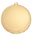 Medaille Leiden scheffer