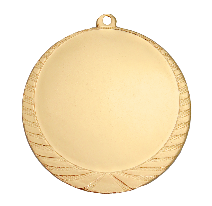 Medaille Leiden scheffer